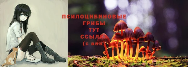 mix Новокубанск